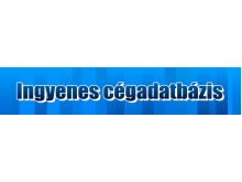 Ingyenes cégadatbázis